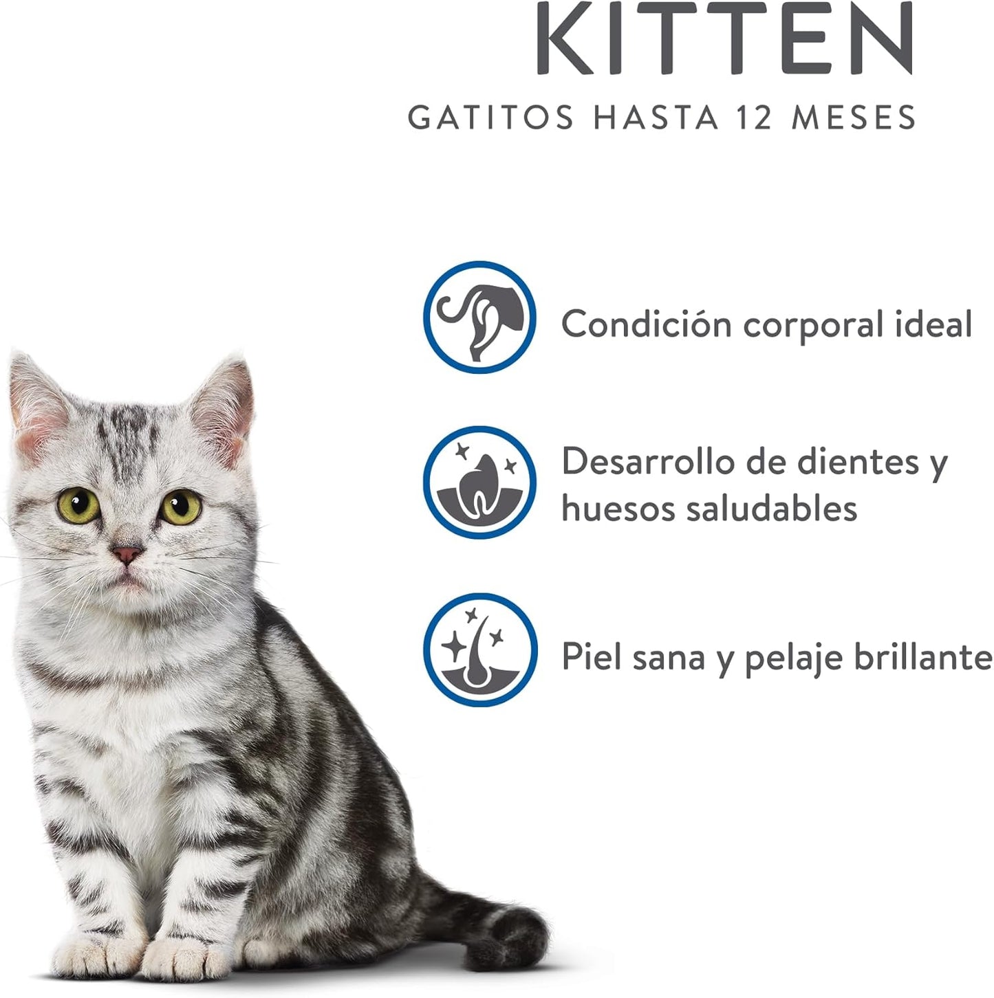 Purina Excellent Alimento Seco para Gatos Kitten