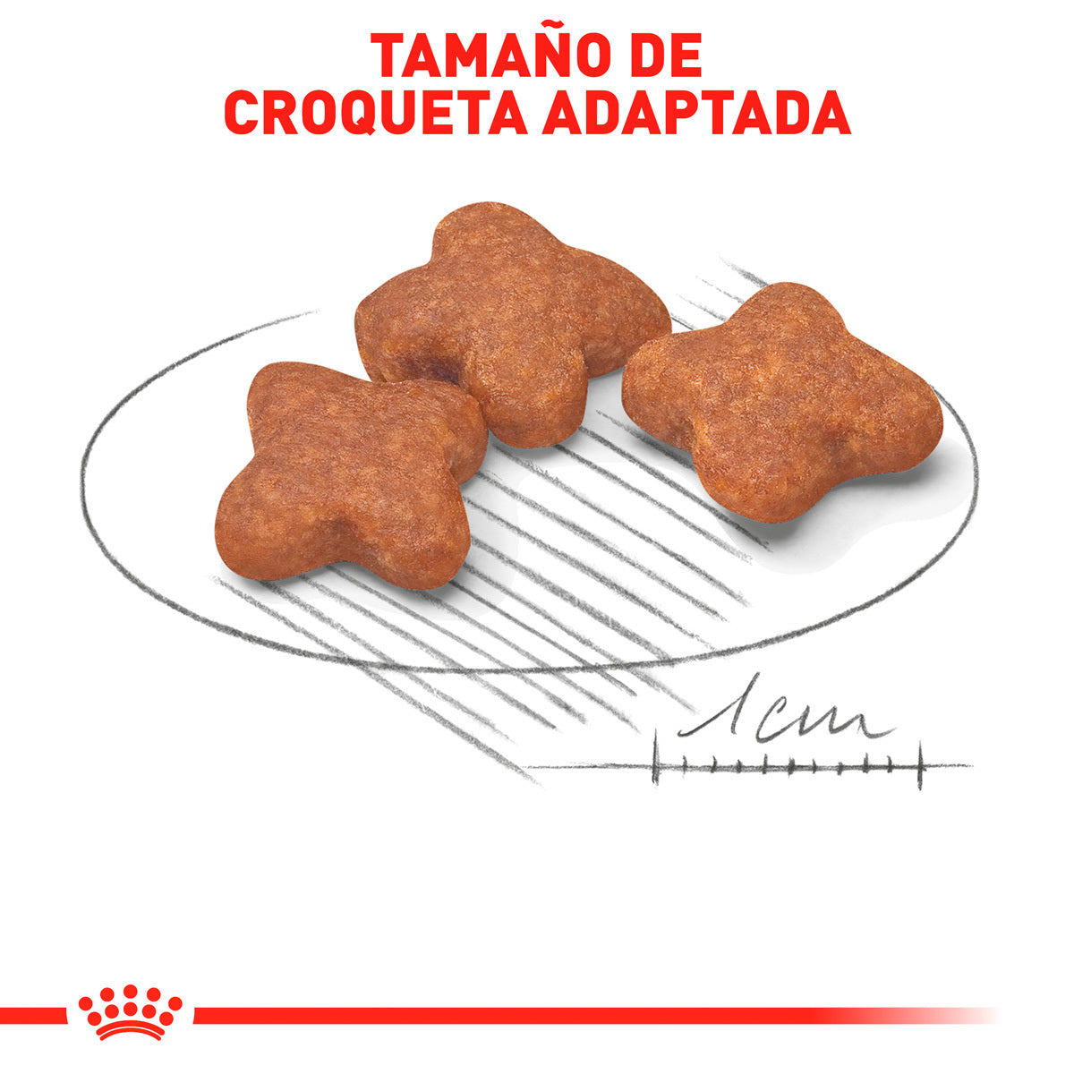 Royal Canin Alimento Seco para Perro Senior Raza Pequeña