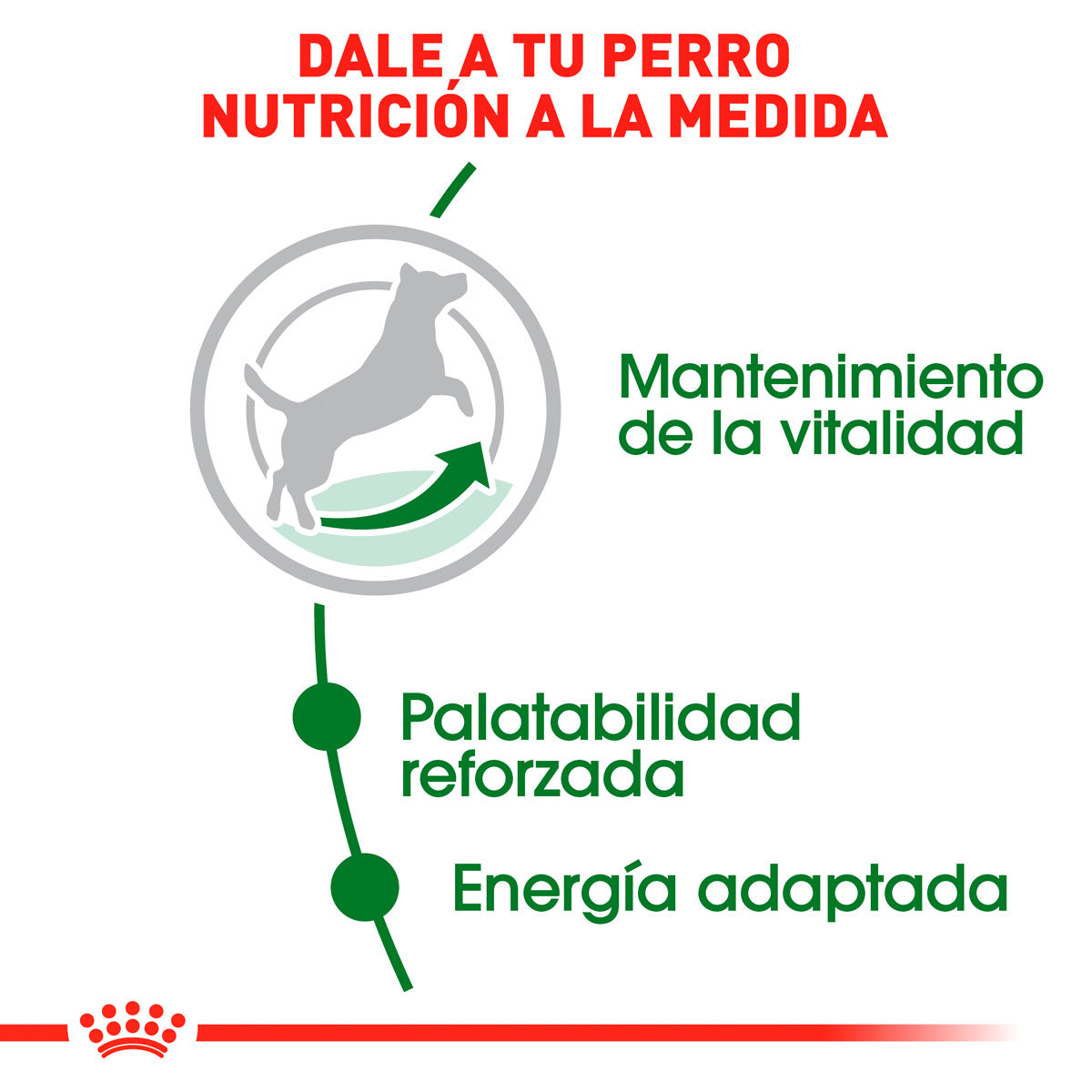 Royal Canin Alimento Seco para Perro Senior Raza Pequeña