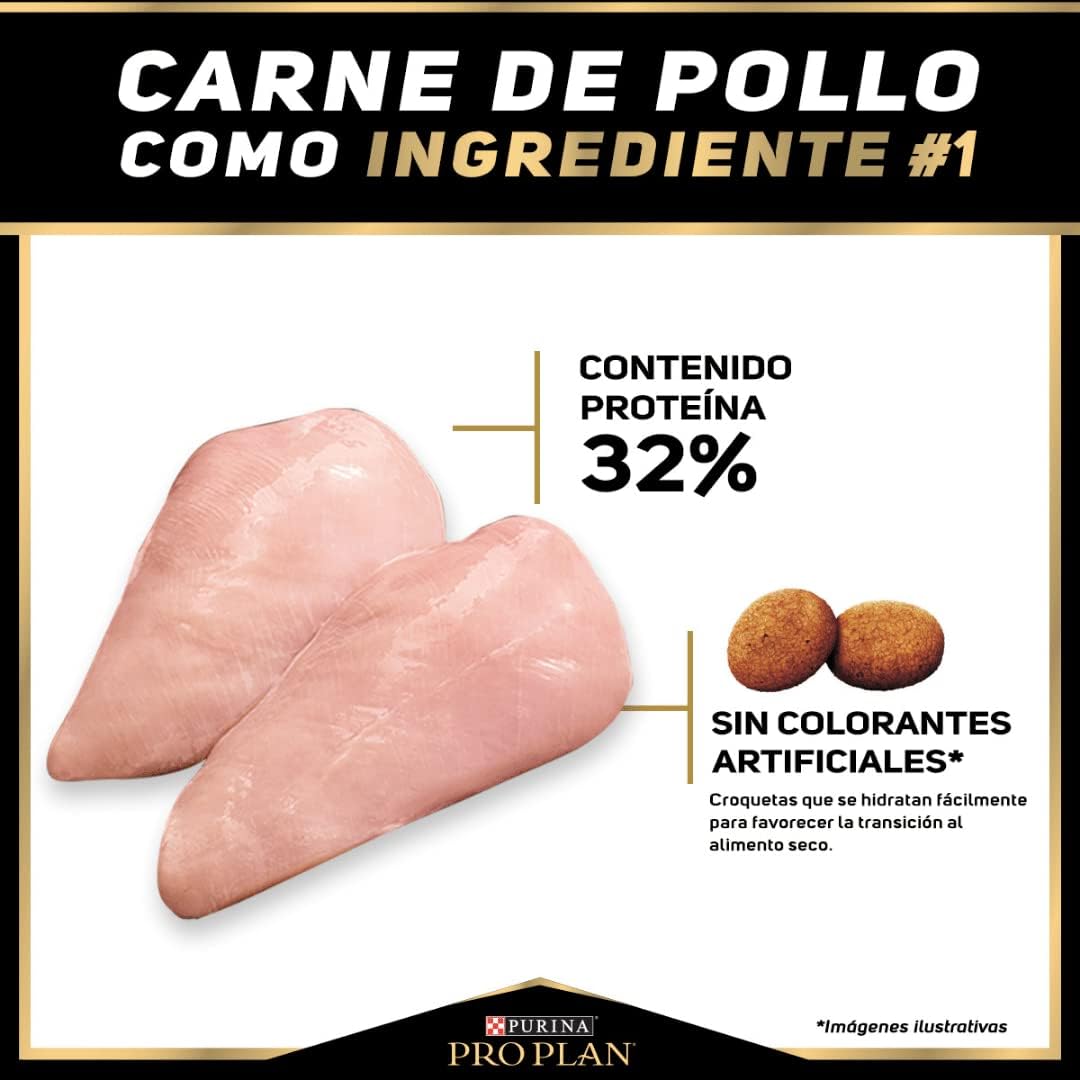 Purina Pro Plan Alimento Seco para Cachorro Raza Pequeña